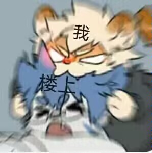 furry yao